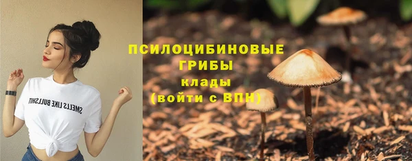 винт Осинники