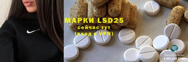 индика Белокуриха