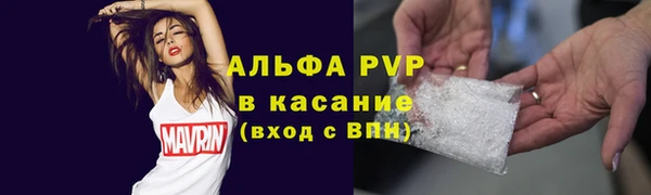 индика Белокуриха
