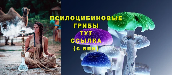 индика Белокуриха