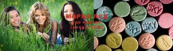 индика Белокуриха