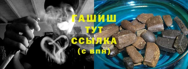 индика Белокуриха